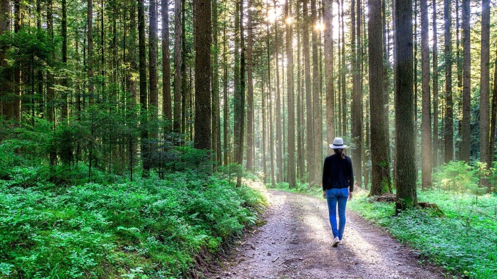 natur healing anja enggren